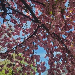 Meet your Posher, Jane